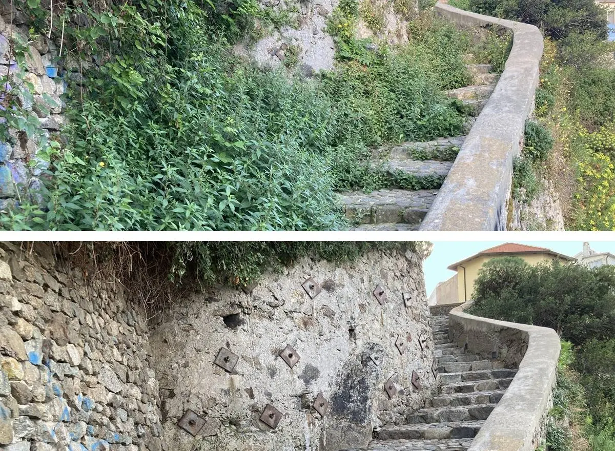 Calabria Wild Wine: dalla salvaguardia dei vitigni antichi alla tutela del patrimonio culturale