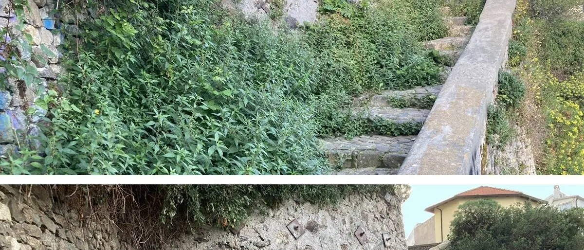 Calabria Wild Wine: dalla salvaguardia dei vitigni antichi alla tutela del patrimonio culturale