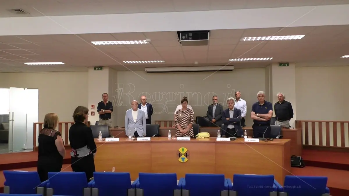 Reggio, dal tavolo tecnico oncologico appello alla Regione: «Occorre una governance: da novembre gruppi di lavoro non attivati» - VIDEO