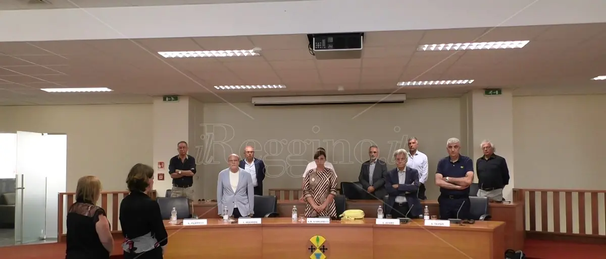 Reggio, dal tavolo tecnico oncologico appello alla Regione: «Occorre una governance: da novembre gruppi di lavoro non attivati» - VIDEO