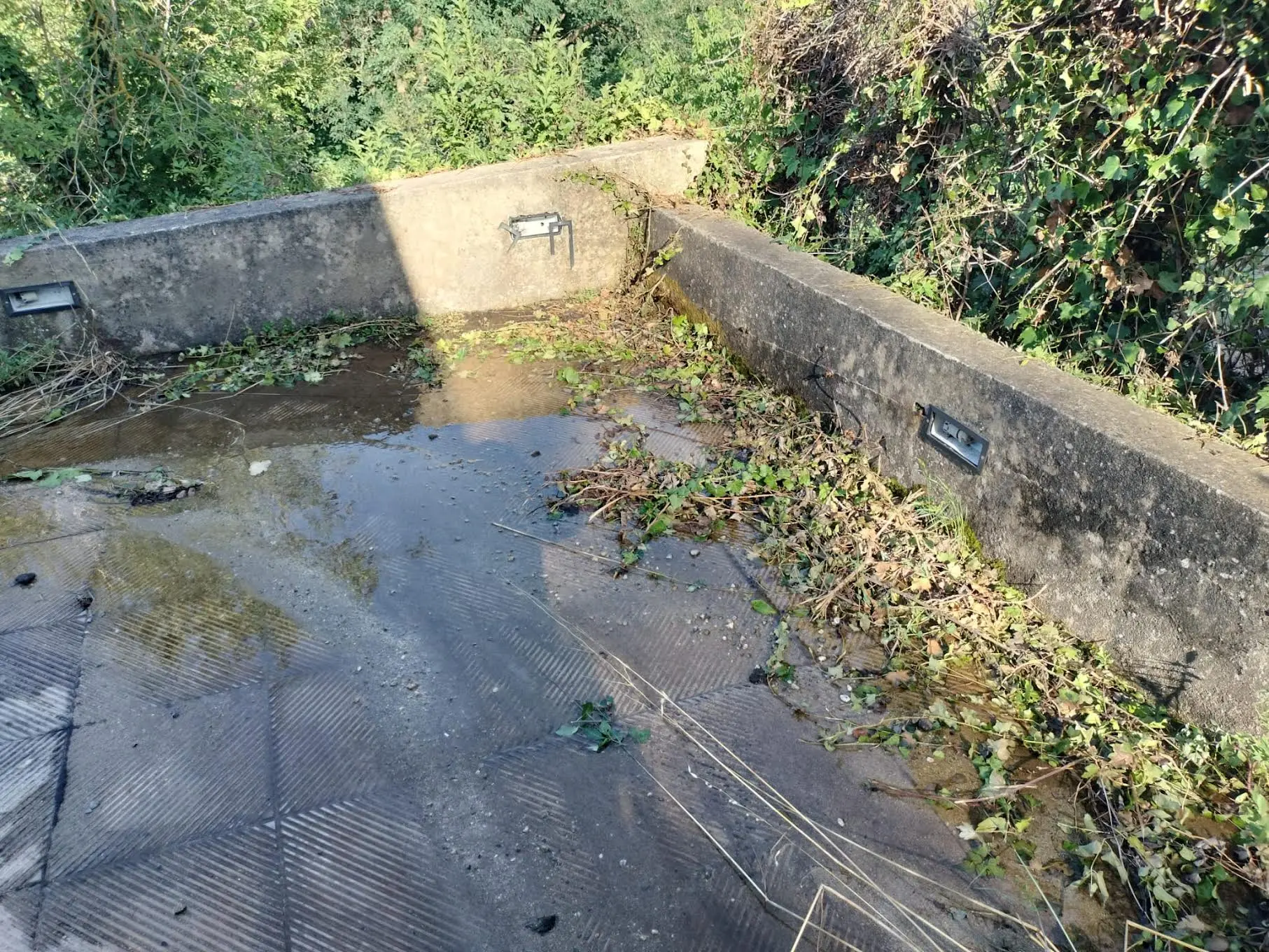 Scilla, la denuncia delle guardie ambientali: «Sversamento di liquami vicino alle case»