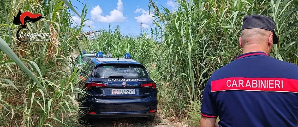 Lotta all’inquinamento dei fiumi, i Carabinieri denunciano diverse persone nella piana di Gioia Tauro