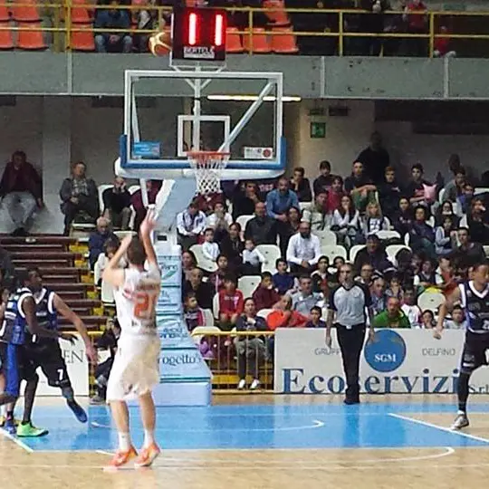 Basket, la Viola annuncia la partnership con l'azienda Tramontana