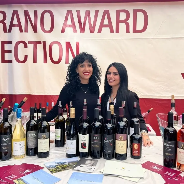 Consorzio Bivongi doc a Merano Wine: un successo di promozione e qualità
