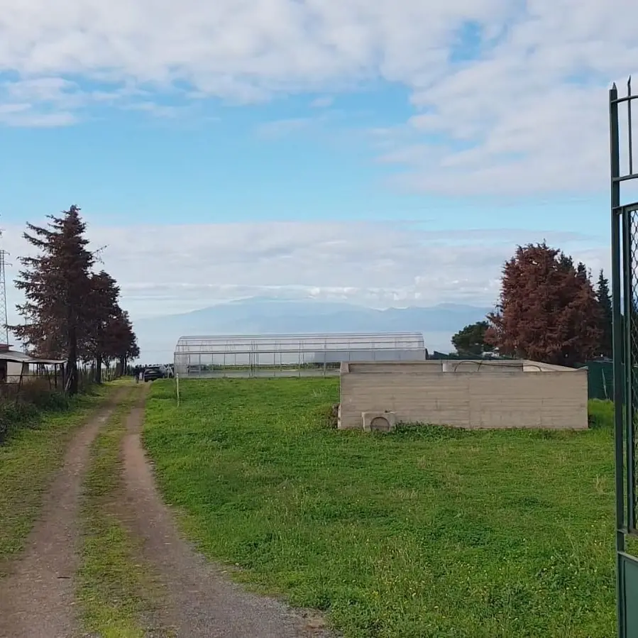 Reggio, Comune e Università Mediterranea insieme per la nuova Azienda agricola didattica sperimentale di Gallina