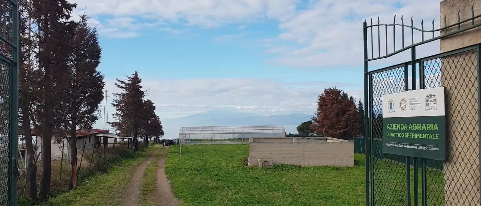 Reggio, Comune e Università Mediterranea insieme per la nuova Azienda agricola didattica sperimentale di Gallina