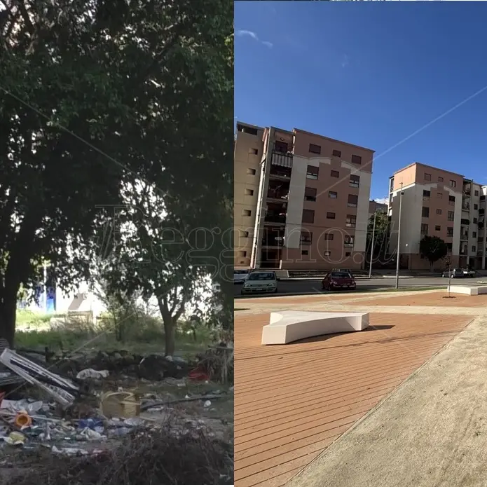 Reggio, il rione Marconi rinasce con il nuovo parco urbano ma dentro le palazzine popolari regna il degrado - FOTO e VIDEO