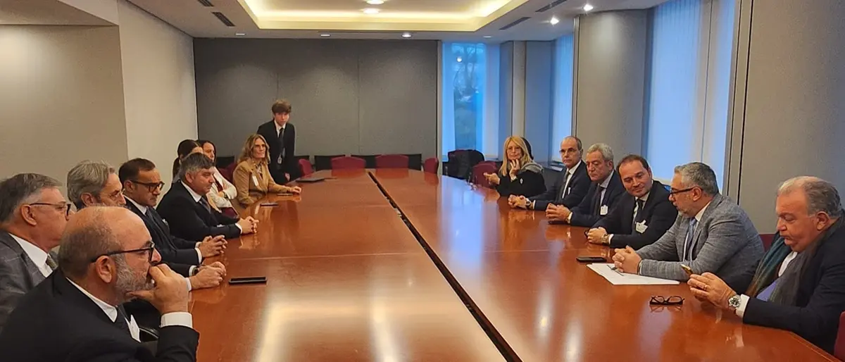 A Bruxelles l’incontro tra la delegazione di Ance Calabria e l'eurodeputato Denis Nesci