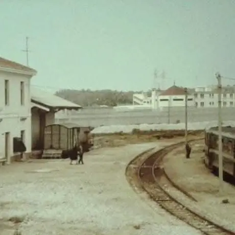 Il Comune di Palmi sostiene il progetto di recupero delle Ferrovie Taurensi