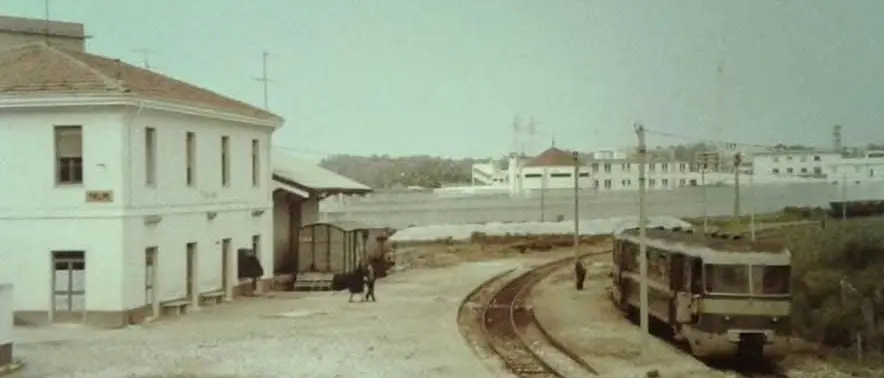 Il Comune di Palmi sostiene il progetto di recupero delle Ferrovie Taurensi