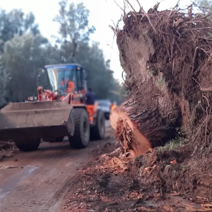 Danni maltempo, oltre 20 interventi di ripristino sulle strade metropolitane eseguite da Castore spa