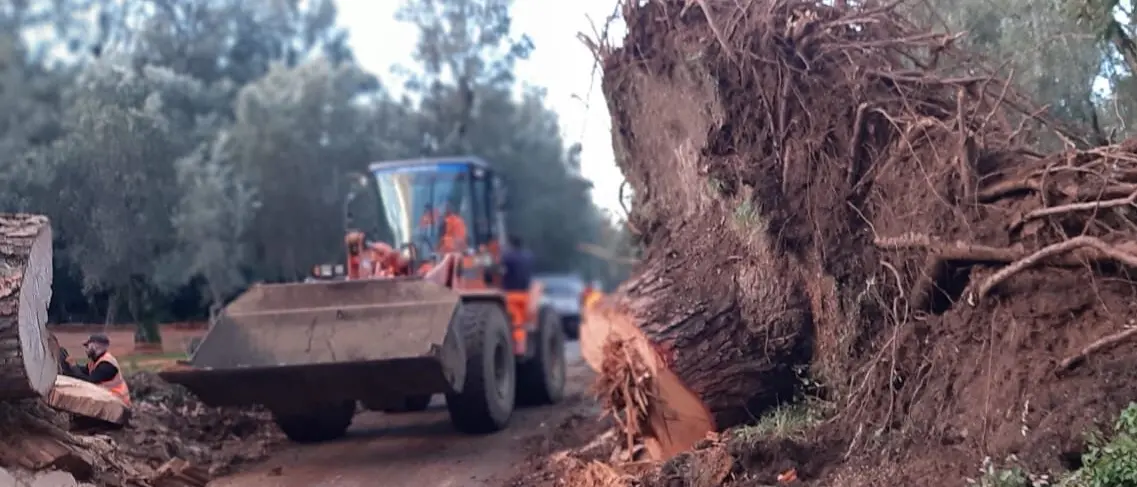 Danni maltempo, oltre 20 interventi di ripristino sulle strade metropolitane eseguite da Castore spa