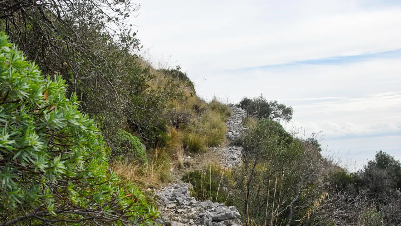 Sui \"Sentieri dimenticati\": alla scoperta di Monte Nafruso tra storia, natura e panorami mozzafiato