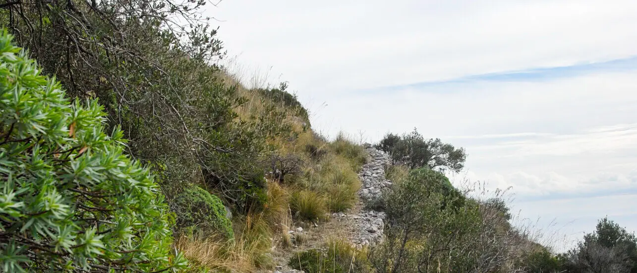 Sui \"Sentieri dimenticati\": alla scoperta di Monte Nafruso tra storia, natura e panorami mozzafiato