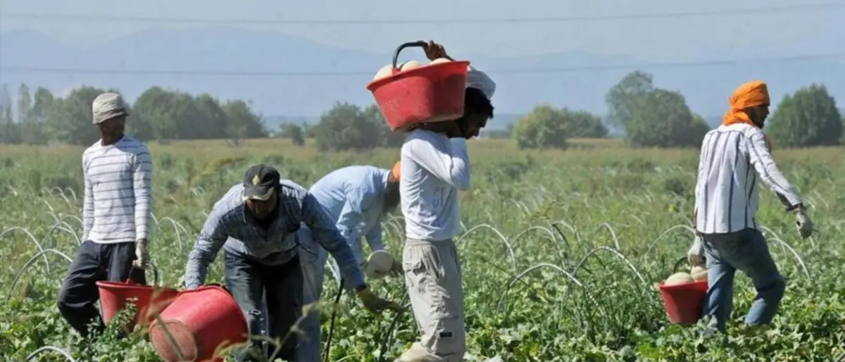 Piana di Gioia Tauro, accertati 11 lavoratori in nero e maxi sanzioni per oltre 30 mila euro