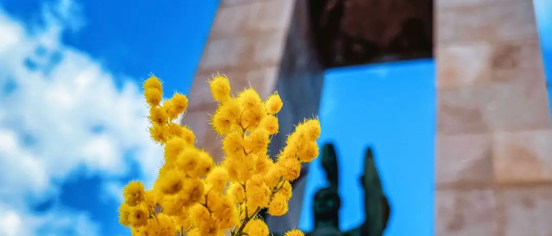 FOTO DEL GIORNO | Il giorno della donna