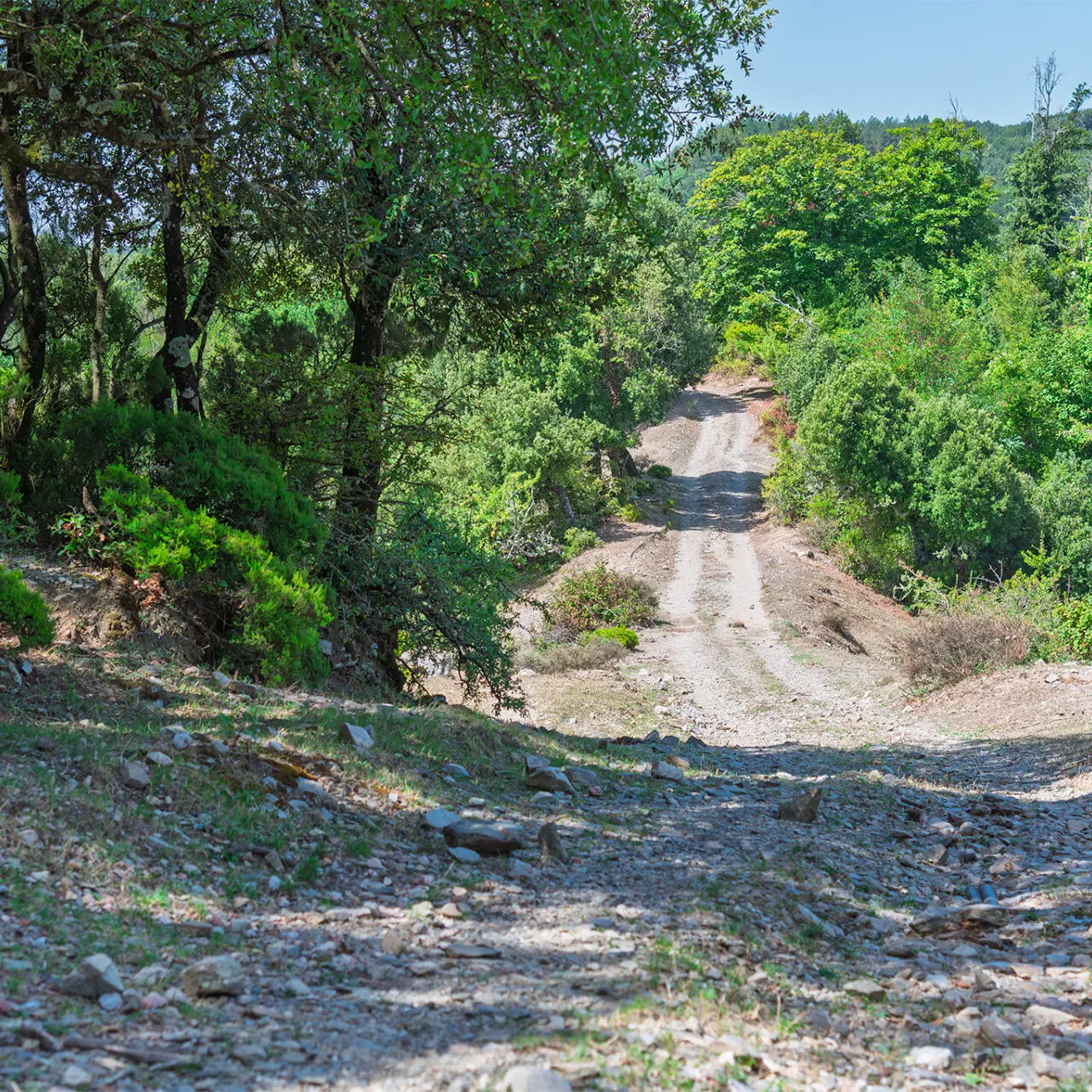 Domenica nuova escursione dell'Associazione \"Gente in Aspromonte\"