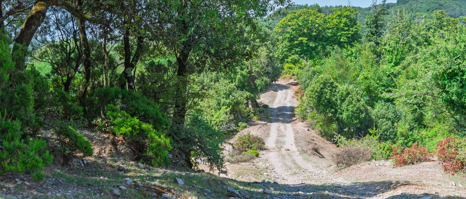 Domenica nuova escursione dell'Associazione \"Gente in Aspromonte\"