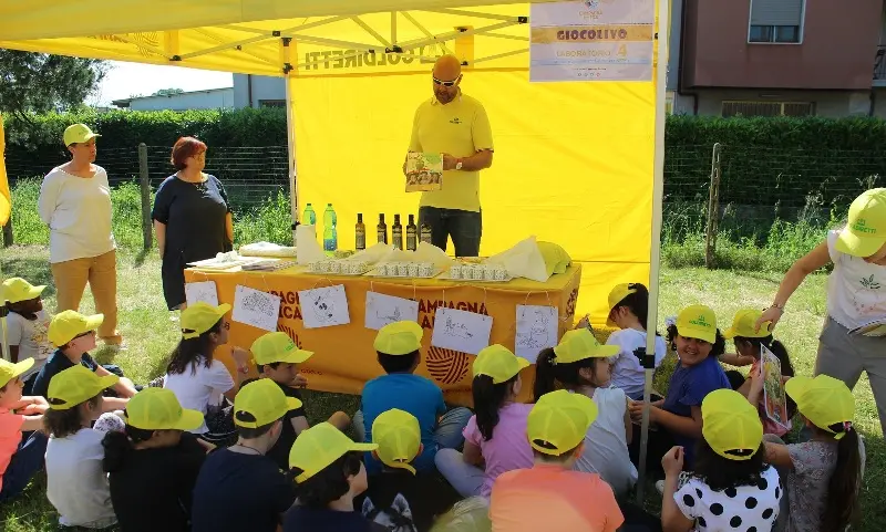 Coldiretti Calabria: «Valorizzare la dieta mediterranea e negli appalti prodotti a Kmzero evitare i cibi ultra-processati»