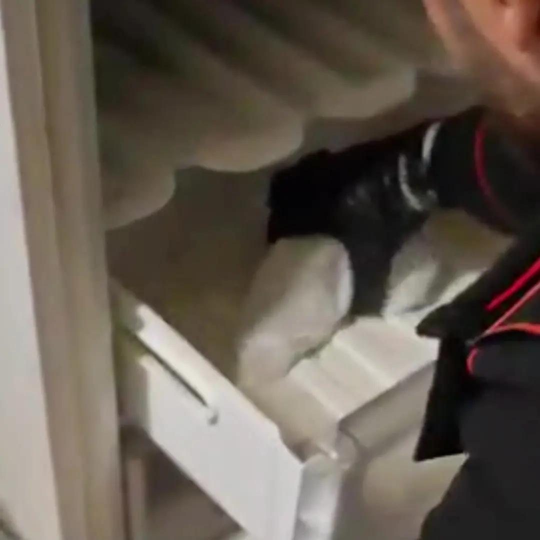 Cinquefrondi, deteneva armi clandestine e munizioni nel freezer: arrestato