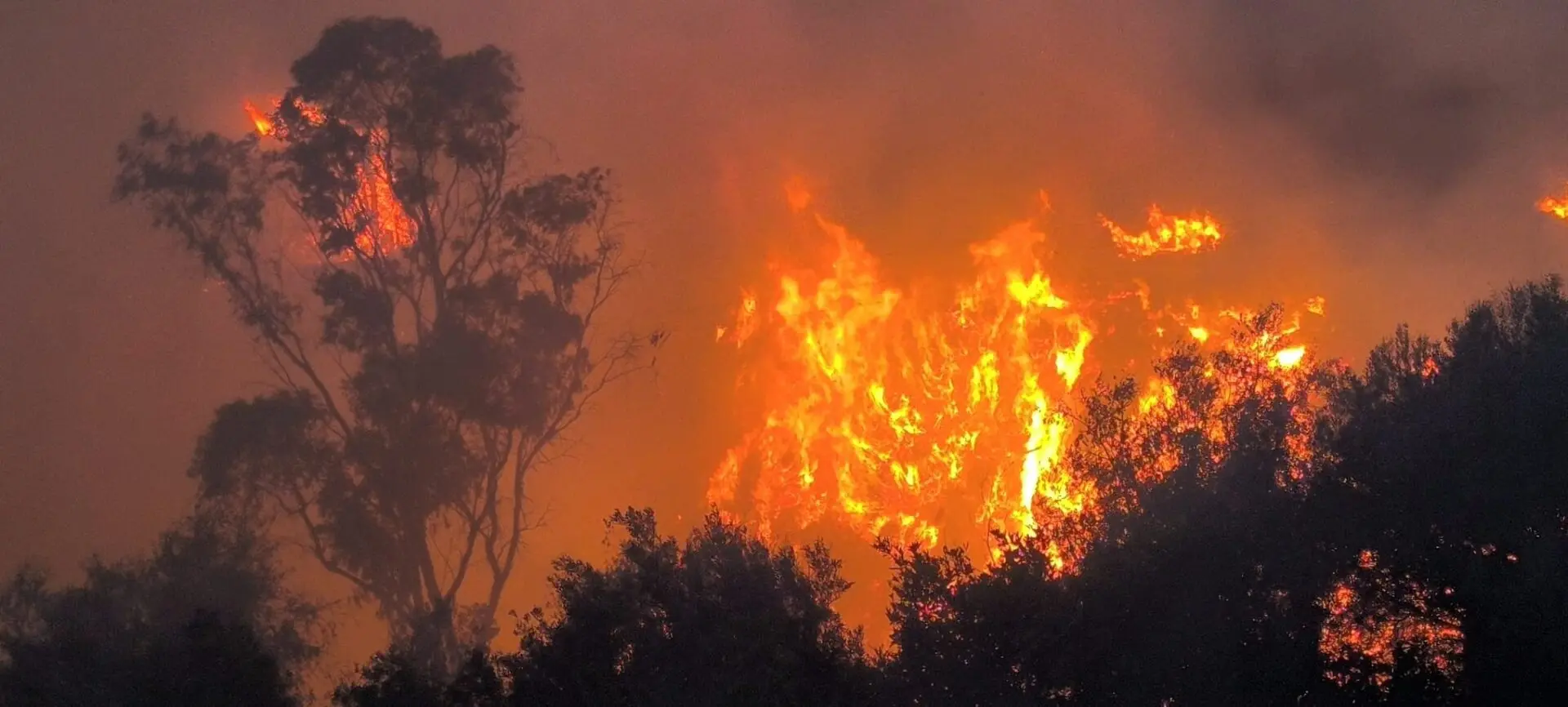 Bovalino, domato l'incendio che ha tenuto in apprensione la frazione Pozzo - FOTO