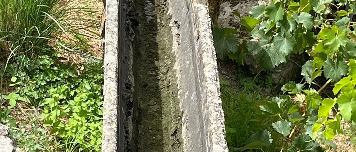 Gioiosa Ionica, Fuda: «Agricoltori senza acqua, il Consorzio di bonifica si attivi per risolvere il problema»