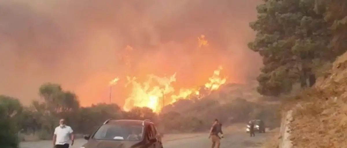 A San Giorgio Morgeto la mostra “Memoria dei Patriarchi di Acatti, il racconto delle foreste antiche”