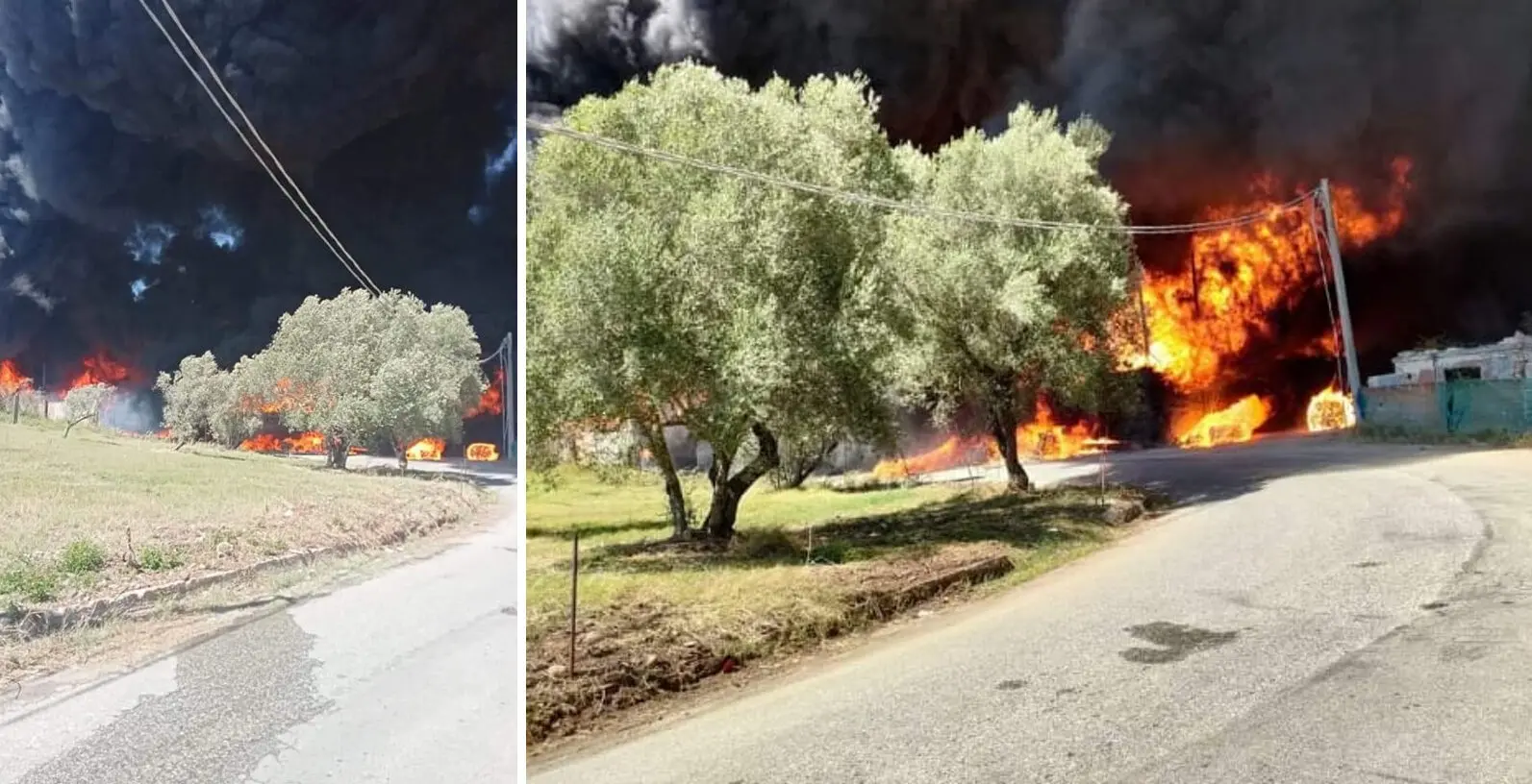 Incendi nel Reggino, fiamme a Ravagnese. A Palmi fuoco nei pressi di un'area stoccaggio rifiuti - VIDEO