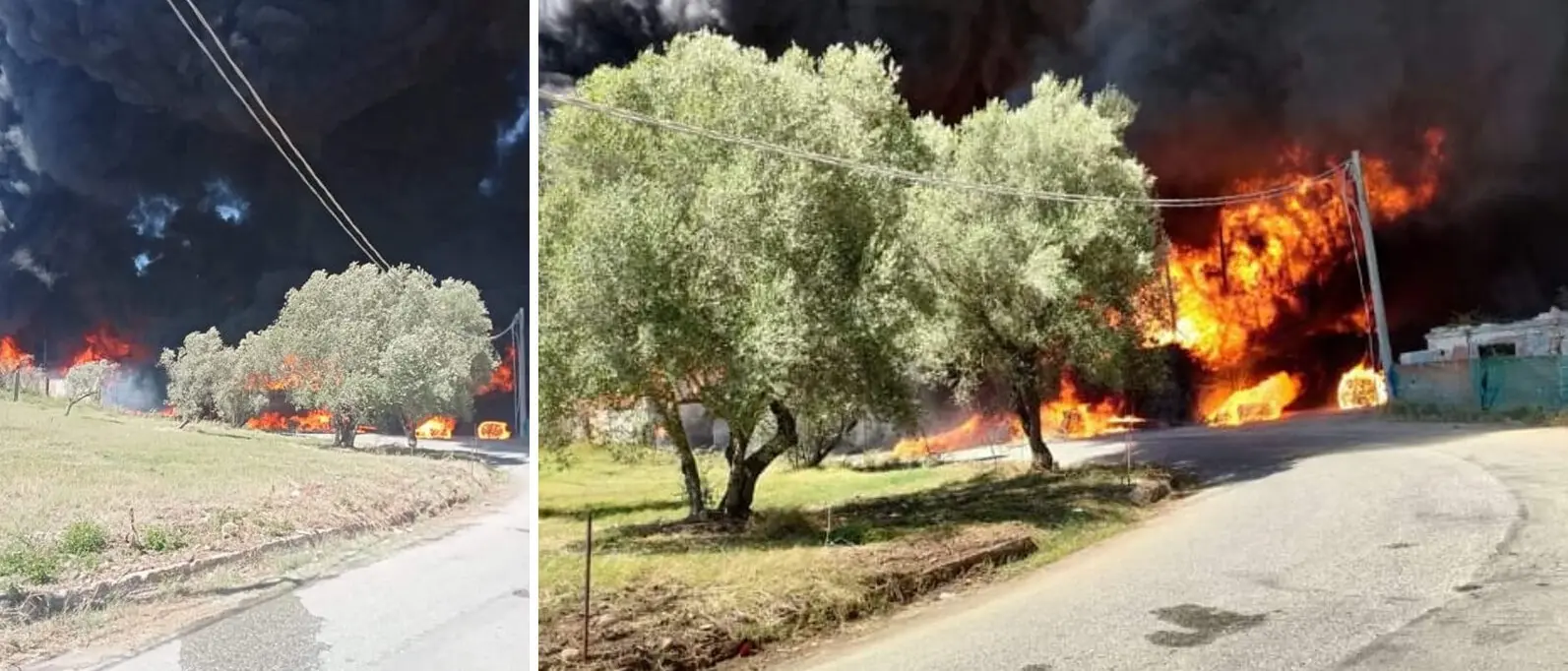 Incendi nel Reggino, fiamme a Ravagnese. A Palmi fuoco nei pressi di un'area stoccaggio rifiuti - VIDEO
