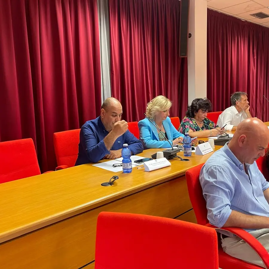 Incendio nella Piana, l'opposizione al comune di Gioia Tauro al sindaco Scarcella: «Amministrazione inadeguata»