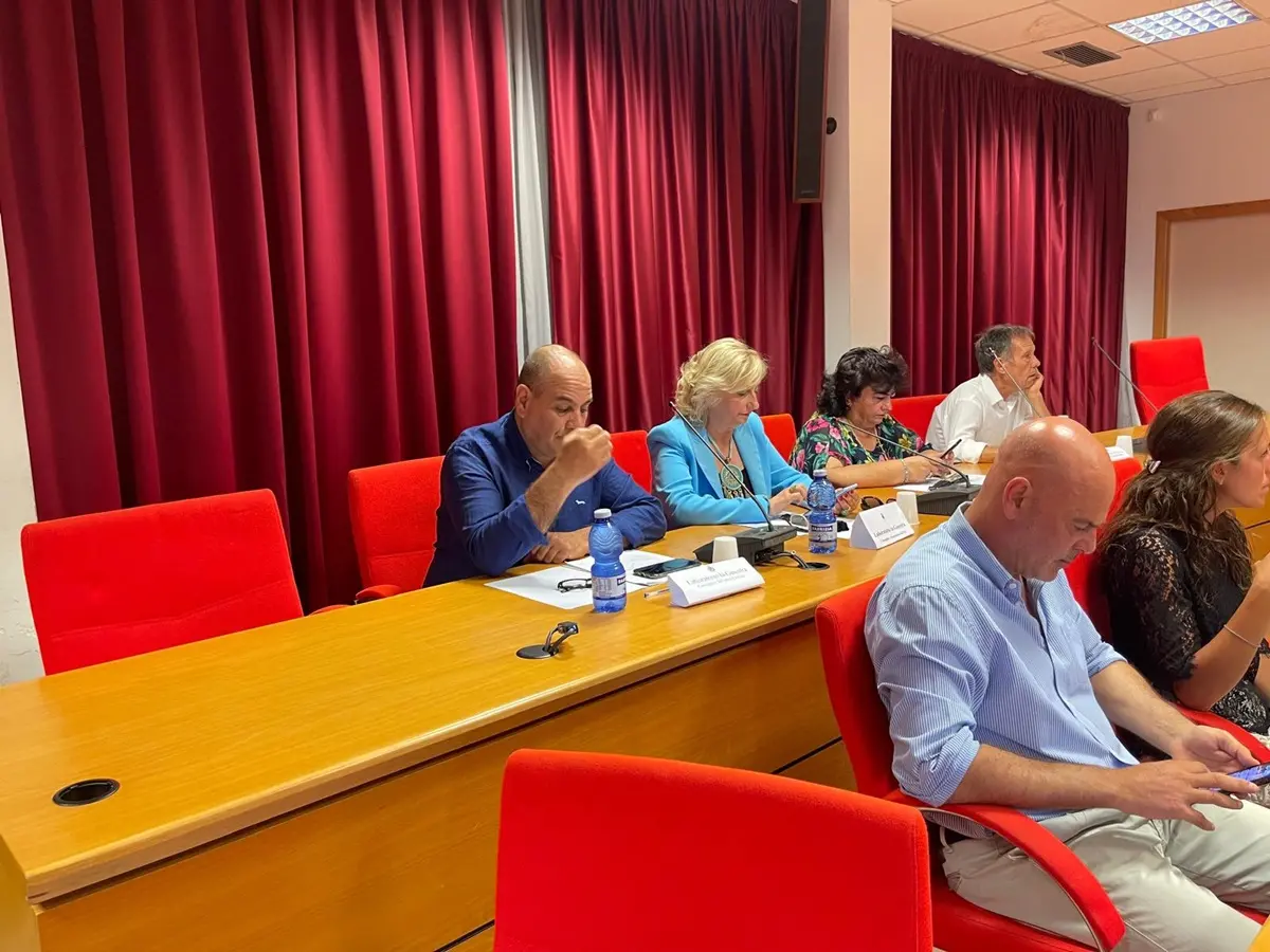 Incendio nella Piana, l'opposizione al comune di Gioia Tauro al sindaco Scarcella: «Amministrazione inadeguata»