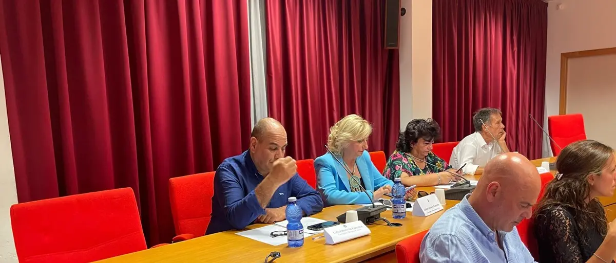 Incendio nella Piana, l'opposizione al comune di Gioia Tauro al sindaco Scarcella: «Amministrazione inadeguata»