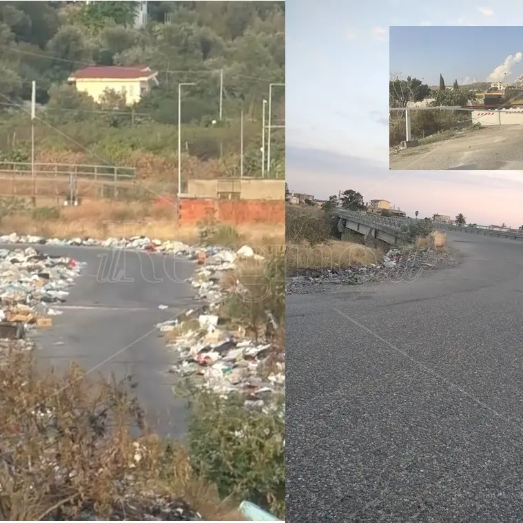 Reggio, Brunetti: «La pulizia della strada di Mortara è solo il primo passo. Potenzieremo controlli e illuminazione» - FOTO e VIDEO