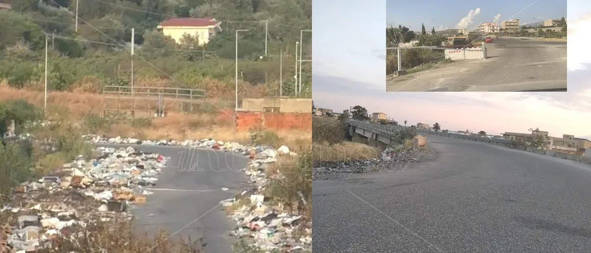 Reggio, Brunetti: «La pulizia della strada di Mortara è solo il primo passo. Potenzieremo controlli e illuminazione» - FOTO e VIDEO