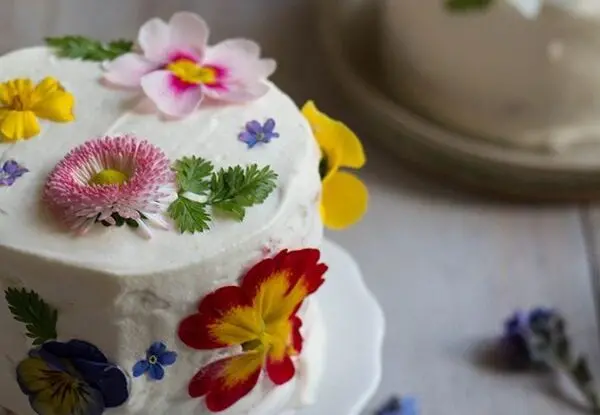 Antonimina, alla Casa delle Erbe la presentazione del libro “Fame di fiori – Nutrirsi di bellezza”