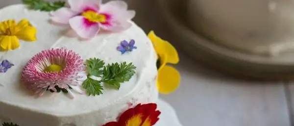 Antonimina, alla Casa delle Erbe la presentazione del libro “Fame di fiori – Nutrirsi di bellezza”