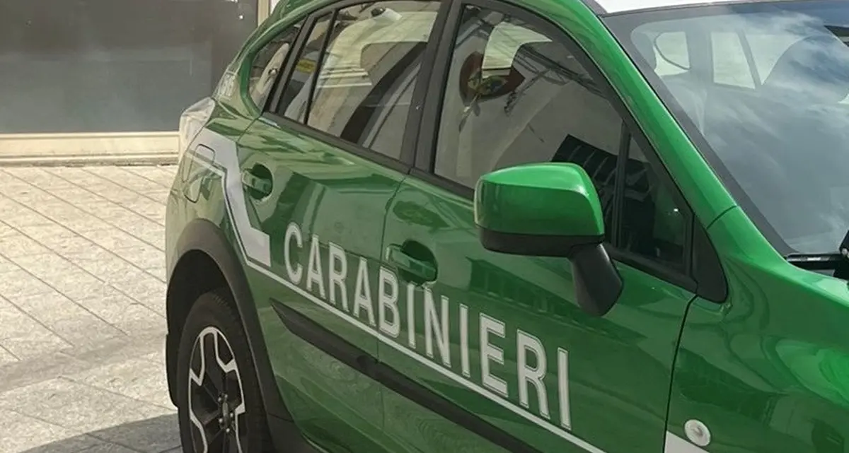 Assolti l’ex sindaco di Rovito D’Alessandro e un tecnico comunale per la vicenda del centro raccolta rifiuti