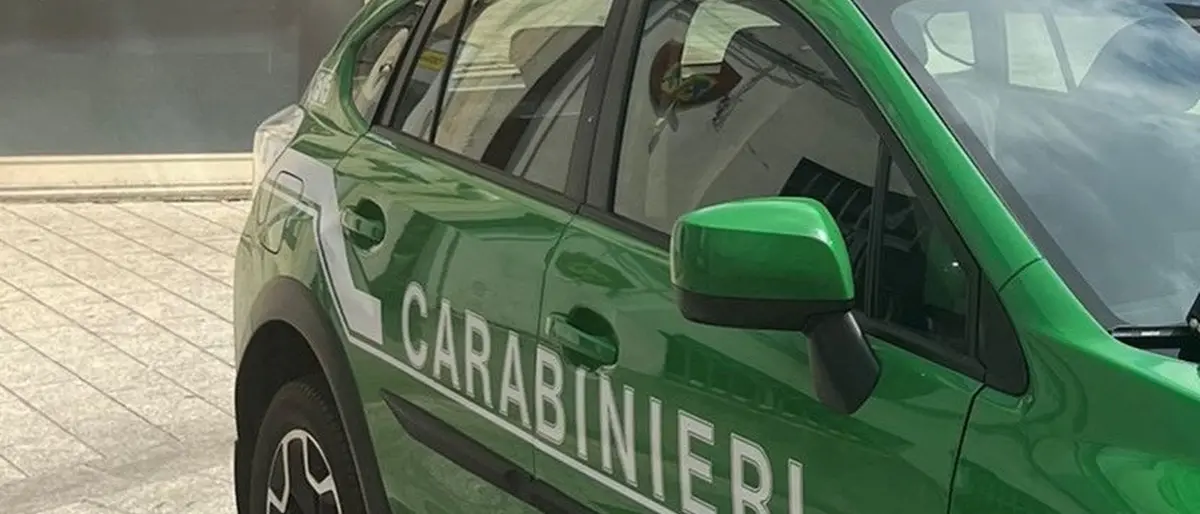 Aspromonte, numerosi reati ambientali contestati dai carabinieri forestali