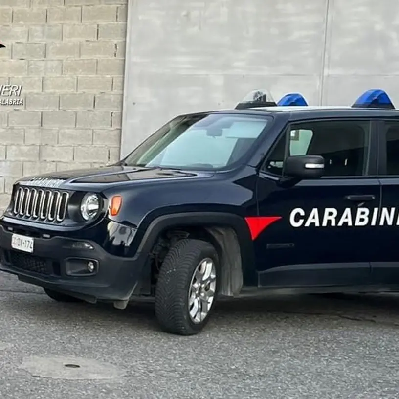 A Gioia Tauro madre e figlio bruciavano rifiuti nel proprio terreno: colti in flagrante dai carabinieri e denunciati