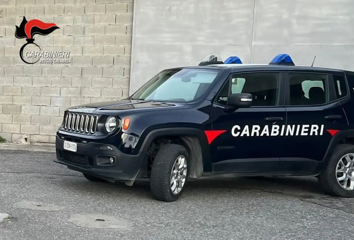 A Gioia Tauro madre e figlio bruciavano rifiuti nel proprio terreno: colti in flagrante dai carabinieri e denunciati