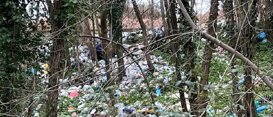 Bagnara, le Guardie Ambientali d’Italia hanno rinvenuto una discarica abusiva