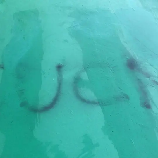 Il Parco Botteghelle subisce l'ennesimo attacco vandalico