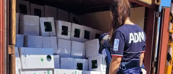 Gioia Tauro, bloccato alla dogana un carico con oltre 40 tonnellate di gas nocivi