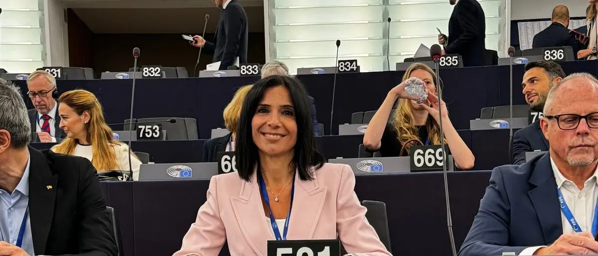 La Calabria di Saverio Strati, Princi: «La cultura, un importante motore per ridurre le disparità di sviluppo fra i paesi europei»