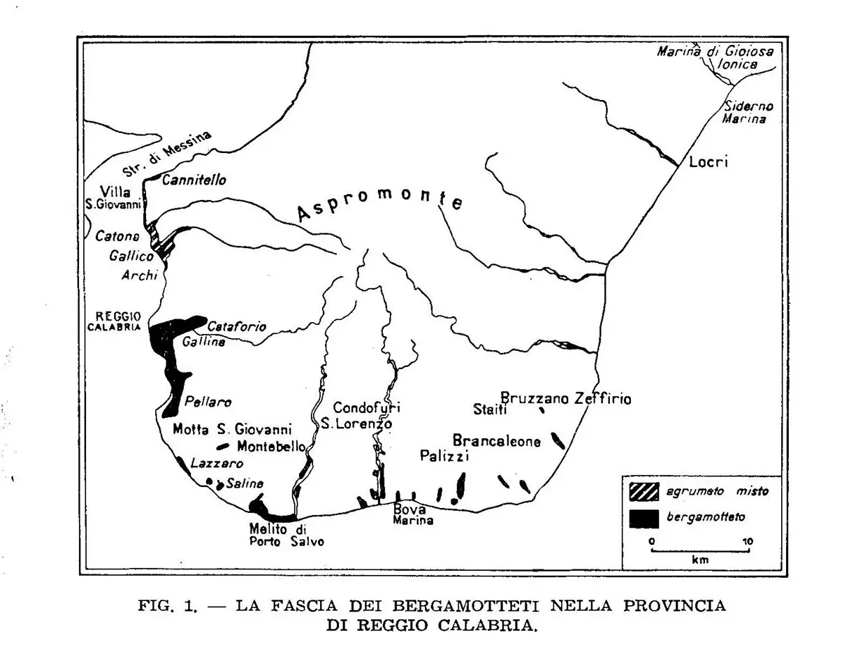 Reggio, il 25 agosto la festa del Bergamotto a Cannavò