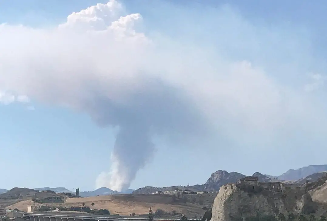 Bagaladi, parzialmente domato il fronte incendiario scatenatosi nel pomeriggio. In corso le fasi di bonifica