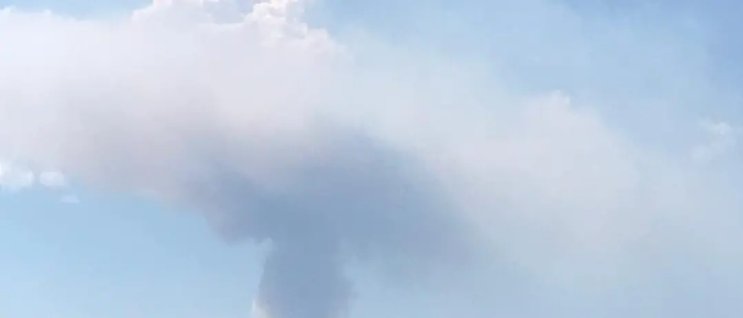 Bagaladi, parzialmente domato il fronte incendiario scatenatosi nel pomeriggio. In corso le fasi di bonifica