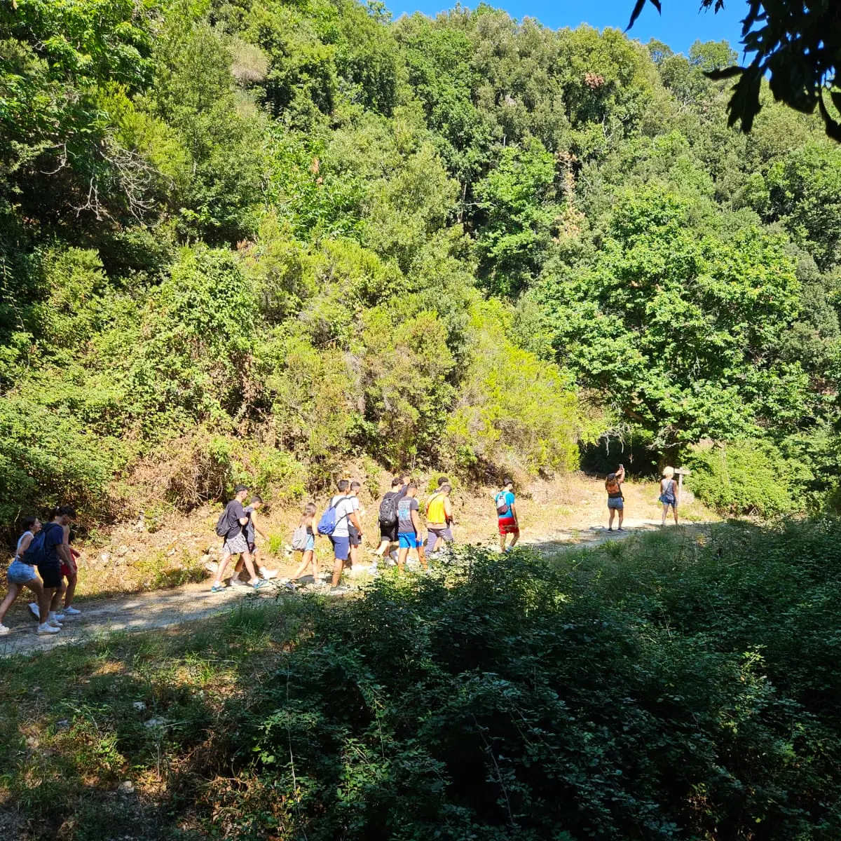 San Giovanni di Gerace tra natura e tradizioni: concluso lo \"Scialata day\" | FOTO