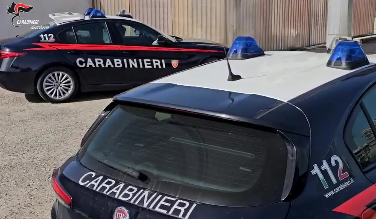 L'Arma contro l'abbandonare animali domestici: è reato punito con arresto fino a un anno e ammenda fino a 10 mila euro