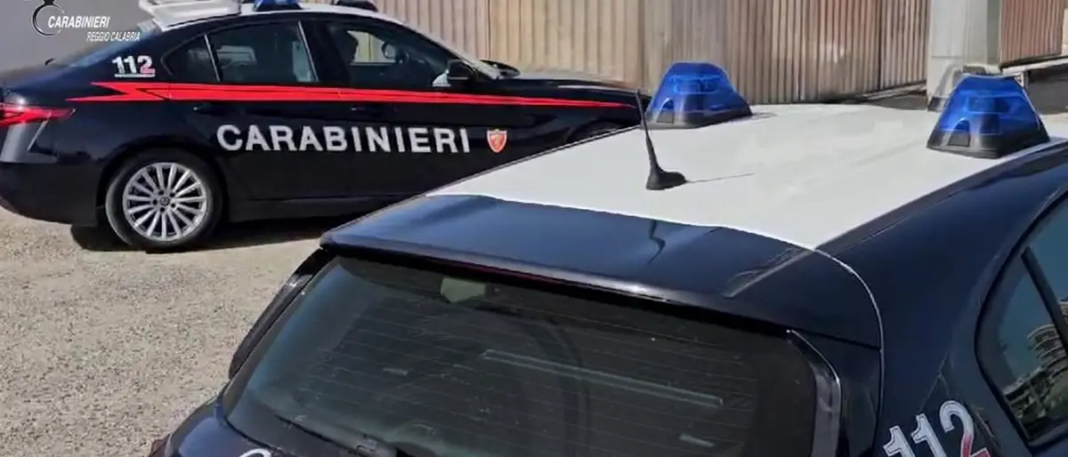 L'Arma contro l'abbandonare animali domestici: è reato punito con arresto fino a un anno e ammenda fino a 10 mila euro